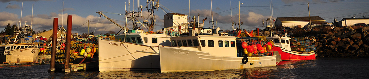 Lobster-Boats.jpg