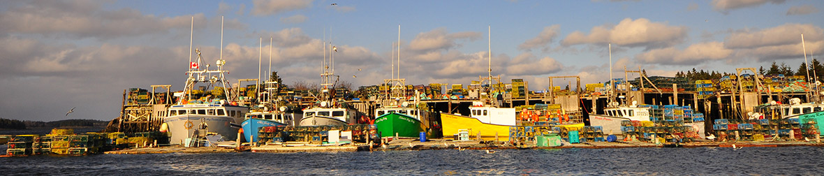 Lobster-Boats2.jpg